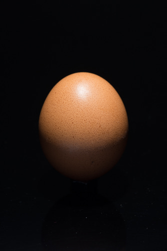 Lo Zen e l'arte di fotografare le uova (esercizi per la Pasqua e la calma interiore)